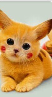 Песни+рисунки 