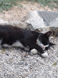 Прогноз погоды на сегодня