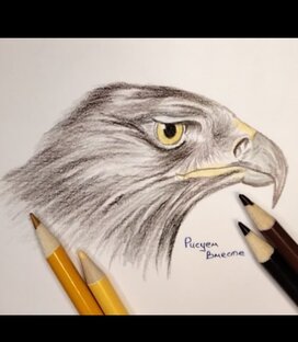 Животный мир 