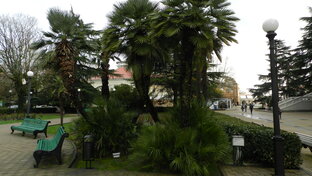 ЭЛЕКТРОСТАТИКА