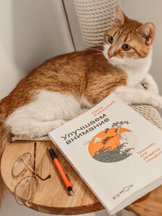 Стать умнее