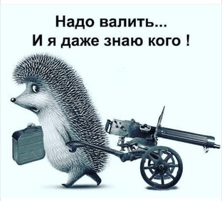 От Ежа