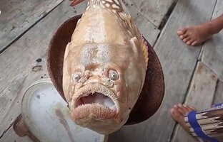 Необычные находки на берегу
