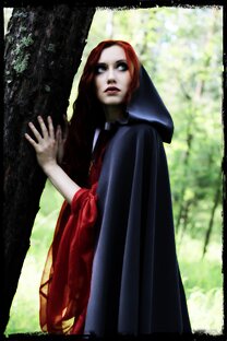 Разоблачения мистификаций и заблуждений