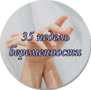 35 недель беременности. 