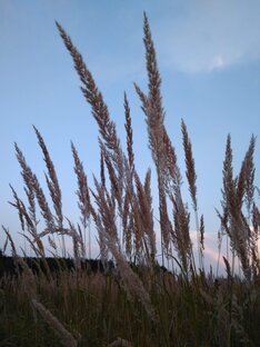 Рубрика "Стихи"