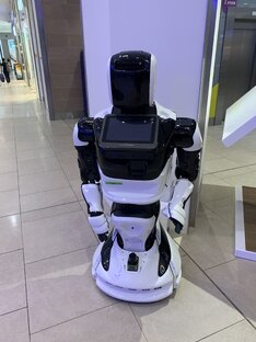 Роботы 