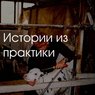 Истории из практики