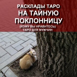 НА ПОКЛОННИЦУ видеорасклады для мужчин