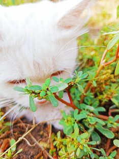 ЗаМУРчательный вечер!