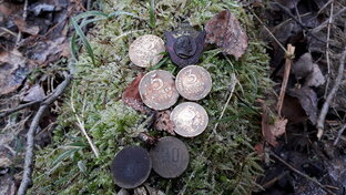 Металлоискатель и лопата 