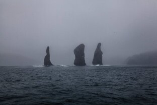 Лучшие видео канала.