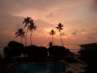 Путевые заметки писателя