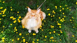 Ритуалы красоты