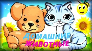 Всё о животных 