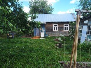 С 2020г. 5-й сад