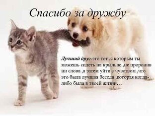 В поисках дома🙏🏻