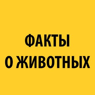 Факты о животных