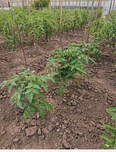 Интересное