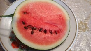 Арбузы и дыни на севере