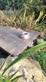 Садовые ВЛОГи