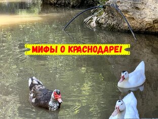 Опровергаю мифы о Краснодаре
