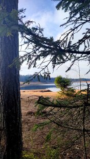 Экотропы, природные маршруты Ленинградской области