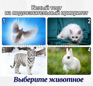 Популярные тесты