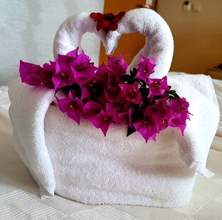 Обзоры отелей