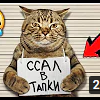 Домашние питомцы
