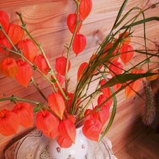 Статьи. Истории из жизни, воспоминания, размышления на социальные темы