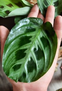 Полезные советы, обмен опытом.