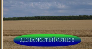 ДЕЛА ЖИТЕЙСКИЕ!!!