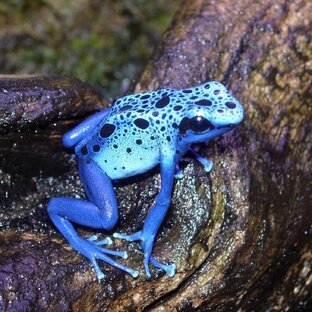 немного специфично 