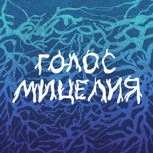 Подкаст