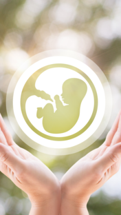 Планирующим