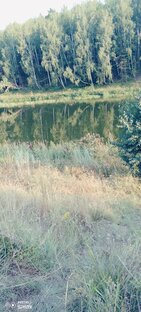 Отдых на природе