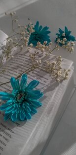 Книги 📚 