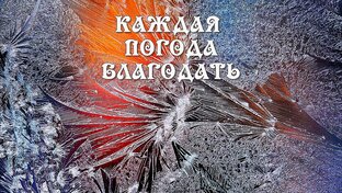 Каждая погода благодать