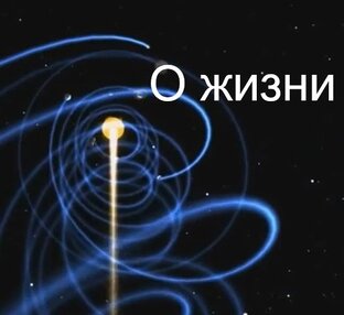 О жизни
