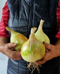 Дела огородные.