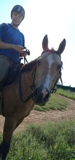 Работа с лошадьми