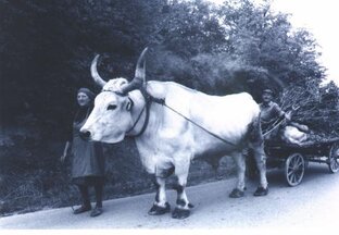 Вера-Отечество-Любовь