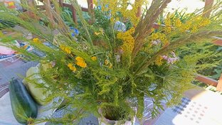 Двор и вокруг него.