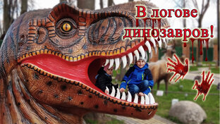 Наш досуг!