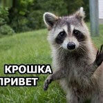 Поговорим о животных