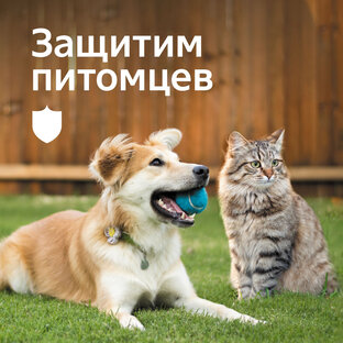 Защита