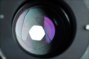 Мои фотографии