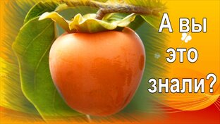 Маски для лица