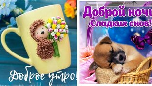 Доброго утра, дня и ночи!